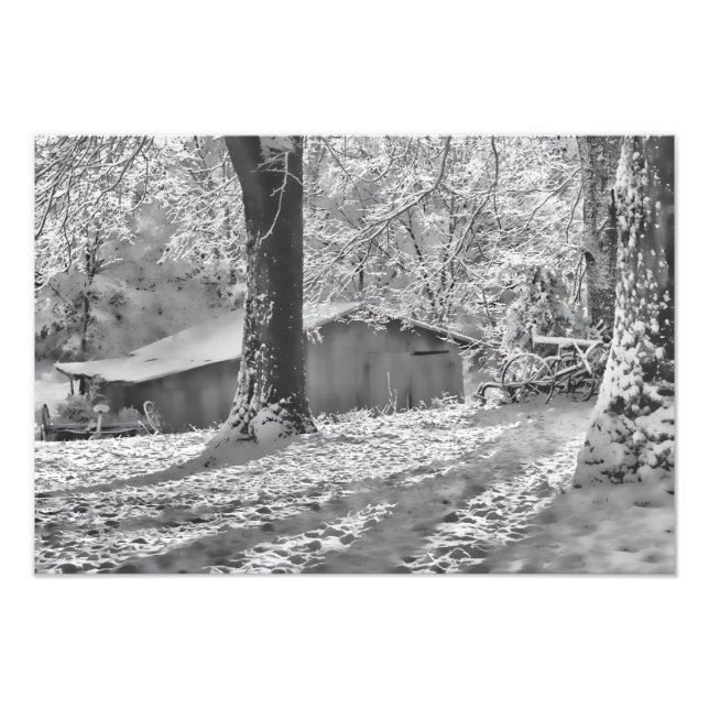 Impression Photo Scène de neige rurale noire et blanche rétroéclair (Devant)
