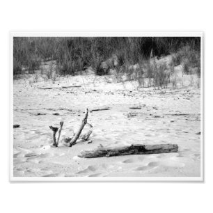 Impression Photo Scène de plage du lac Michigan