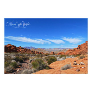 Impression Photo Scène du désert d'Arizona