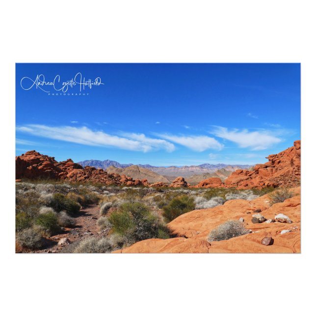 Impression Photo Scène du désert d'Arizona (Devant)