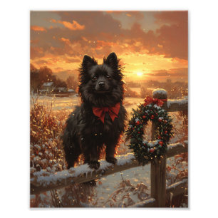 Impression Photo Schipperke Chien Russe coucher de soleil hivernal