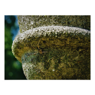 IMPRESSION PHOTO "SCOFIELD"