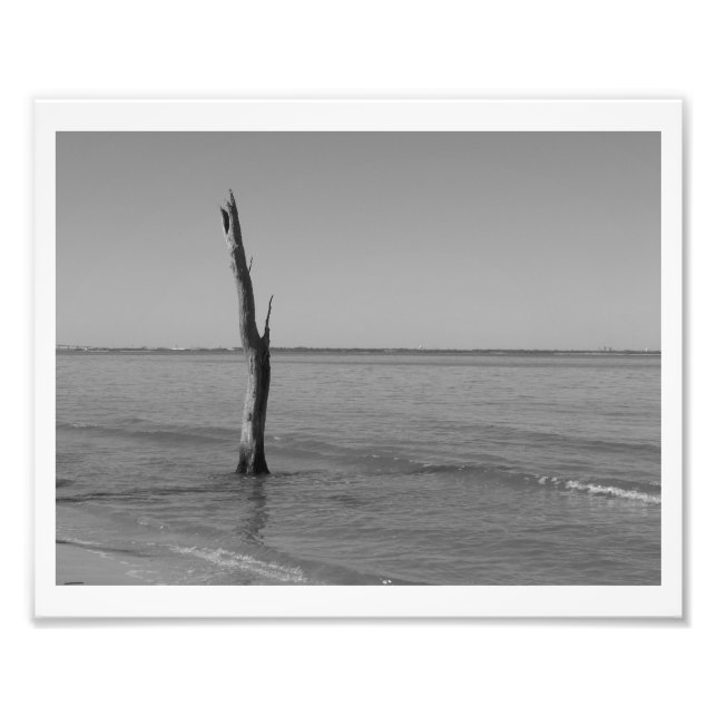 Impression Photo Se tient seul (Devant)