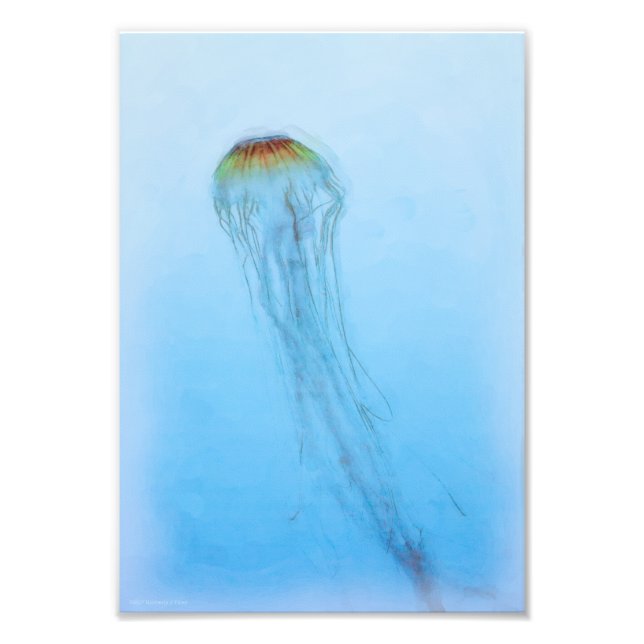 Impression Photo Sea Nettle (Devant)