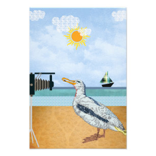 Impression Photo Seaguls selfies