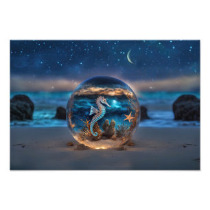 Impression Photo Seahorse et Starfish Plage sous-marine Nautique