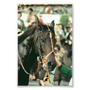 Impression Photo Seattle Slew Thoroughbred 1978