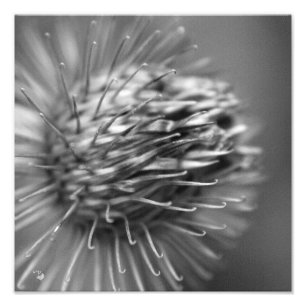 Impression Photo Semi-remorques - Premium Photopression Satin noir 