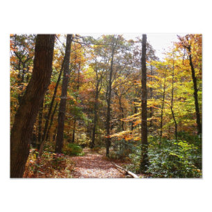 Impression Photo Sentier ensoleillé d'automne à Laurel Hill State P
