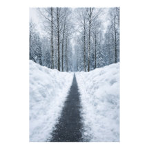 Sentier forestier hivernal brumeux Affiche de pays