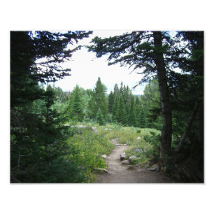 Impression Photo Sentier Grand Teton