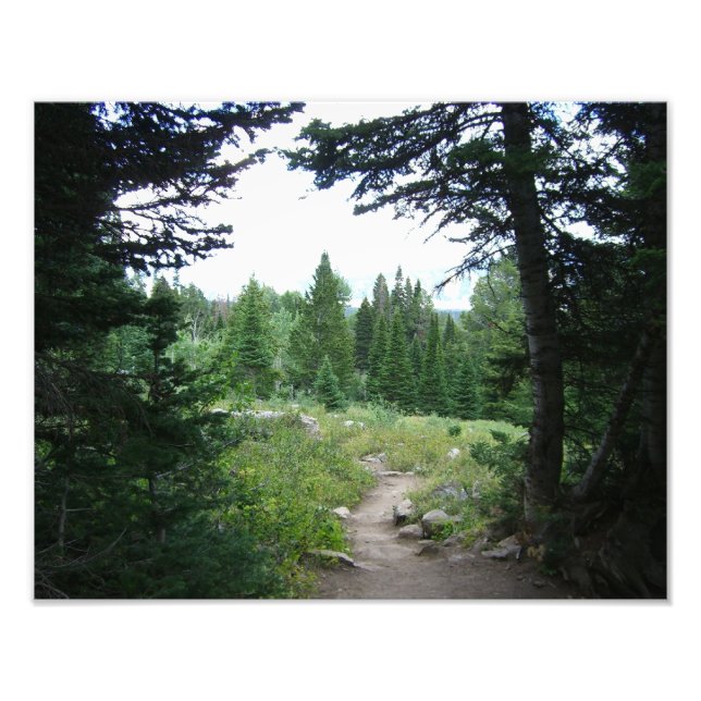 Impression Photo Sentier Grand Teton (Devant)