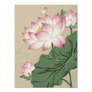 Impression Photo Sérénité envoûtante : Lotus rose délicat en fleurs