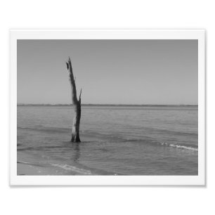 Impression Photo Seuls supports