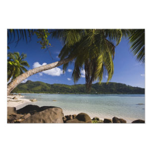 Impression Photo Seychelles, île de Mahe, Anse à la Mouche