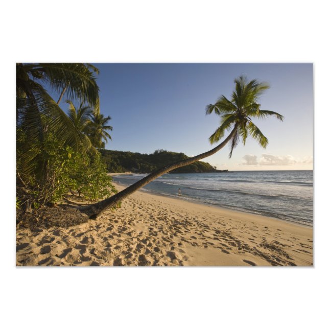Impression Photo Seychelles, île de Mahe, plage d'Anse Takamaka, (Devant)