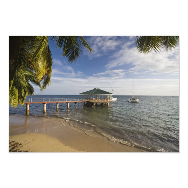 Impression Photo Seychelles, île de Praslin, Anse Bois de Rose, (Devant)