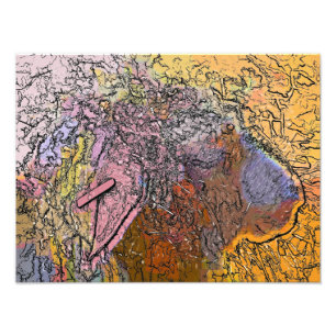 IMPRESSION PHOTO SHEEP