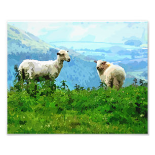 IMPRESSION PHOTO SHEEP DE MONTAGNE