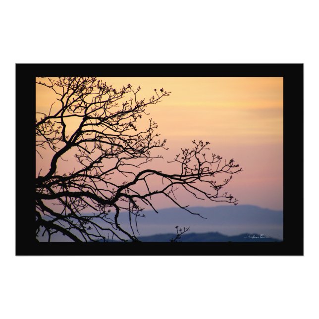 Impression Photo Silhouette de branches de coucher de soleil par Si (Devant)