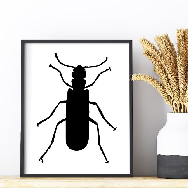 Impression Photo Silhouette de Coléoptère Vésicant (Blister Beetle Silhouette Photo Print)