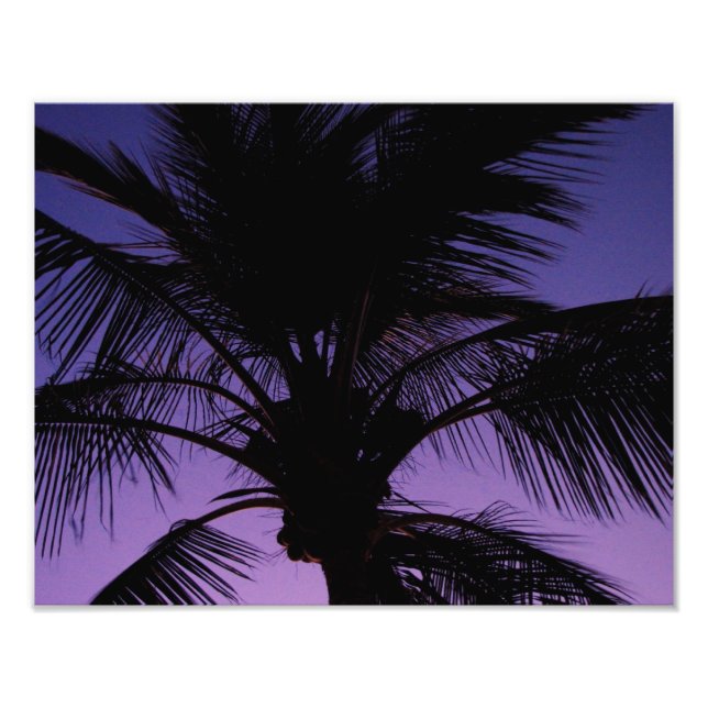 Impression Photo Silhouette Frond Palm (Devant)