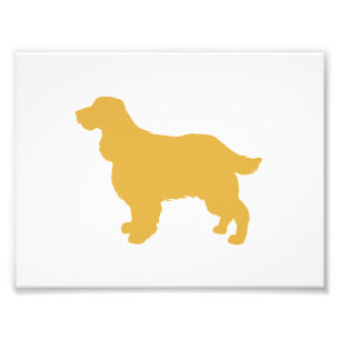 Impression Photo Silhouette or de Cocker - Choisissez la couleur ar