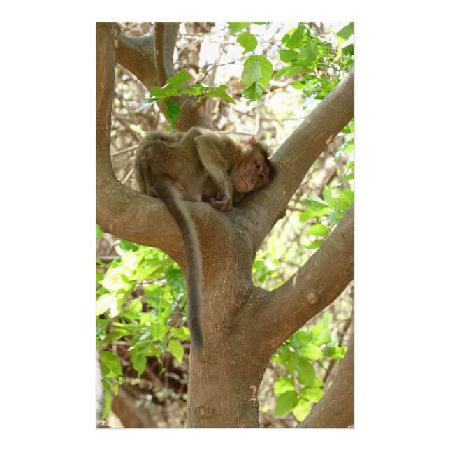 Impression Photo Singe - Je suis tellement fatigué (Devant)