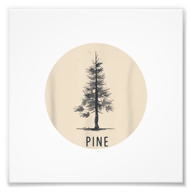 Impression Photo Single Pine Tree Outfit (Devant)