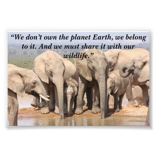 Impression Photo Slogan personnalisé / Conservation Elephant Herd S (Devant)