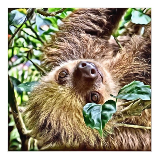 Impression Photo Sloth peint (Devant)