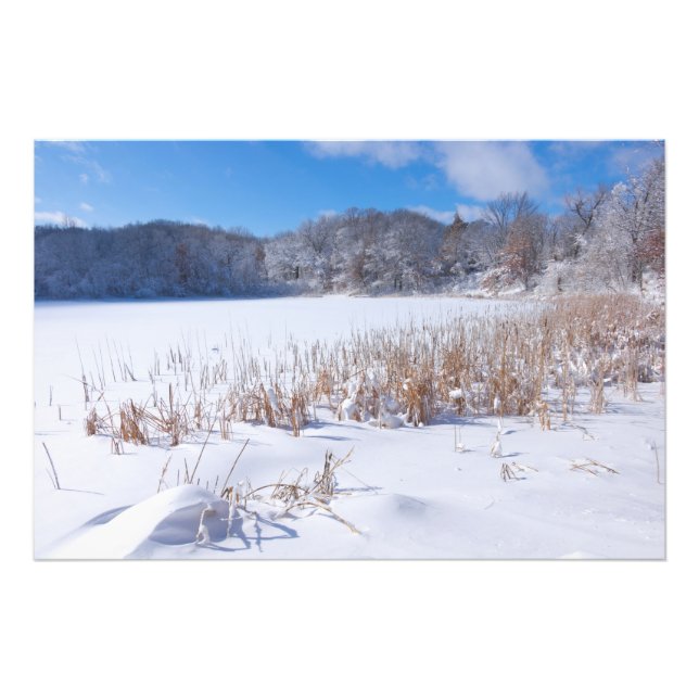 Impression Photo Snowy Marthaler Pond Hiver Pittoresque (Devant)