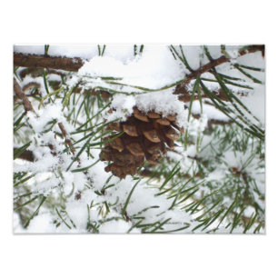 Impression Photo Snowy Pine Cone I