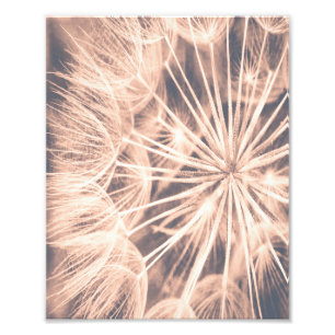 Impression Photo Soft Fairytale Pink Dandelion Blowball 6