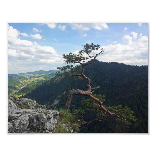 Impression Photo Sokolica, Pieniny (Devant)