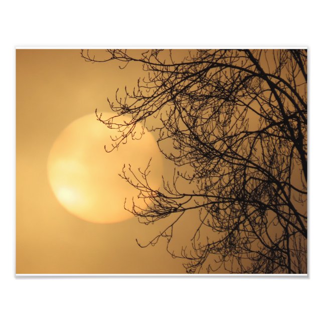 Impression Photo Soleil de début de matinée (Devant)