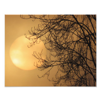 Impression Photo Soleil de début de matinée