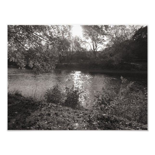 Impression Photo Soleil sur le Taff, Bute Park, Cardiff (Devant)