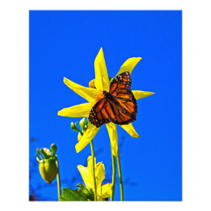 Impression Photo Soleil vers le haut