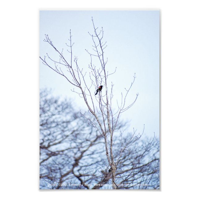 Impression Photo Soliste (Devant)