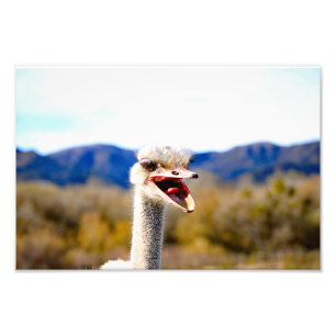 Impression Photo Solvang, CA