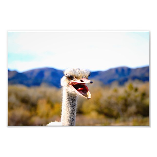 Impression Photo Solvang, CA (Devant)