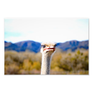 Impression Photo Solvang, CA