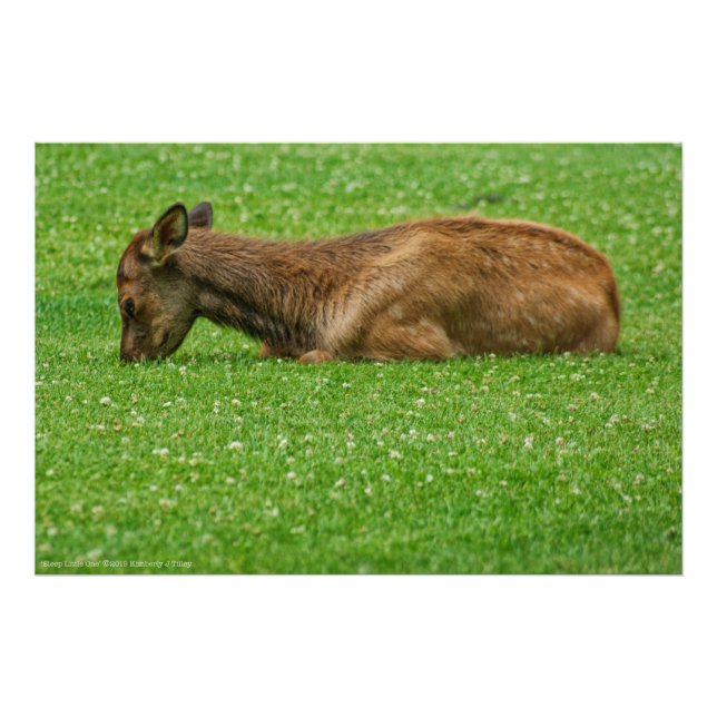 Impression Photo Sommeil petit un (Devant)