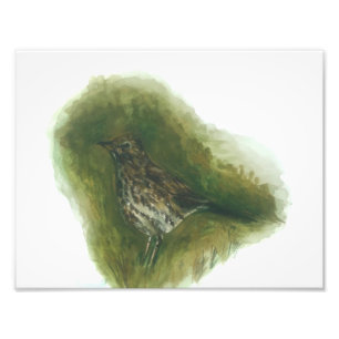 Impression Photo Song thrope jardin oiseau aquarelle imprimer