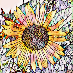 IMPRESSION PHOTO SOUFFLE