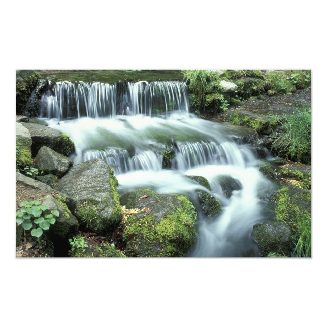 Impression Photo Source aux fougères, Parc national de Yosemite (Devant)