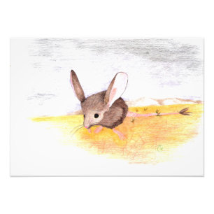 Impression Photo Souris sèche