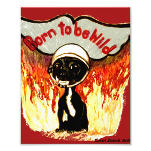 Impression Photo Soutenu pour être chiwawa sauvage par Carol Zeock