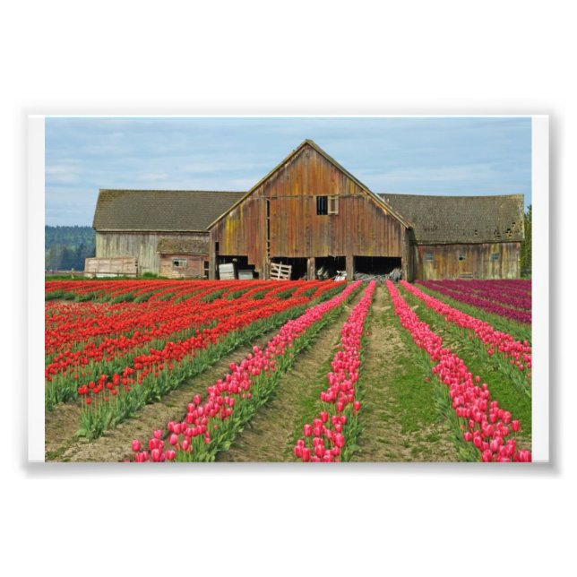 Impression Photo Souvenirs Du Printemps. (Devant)